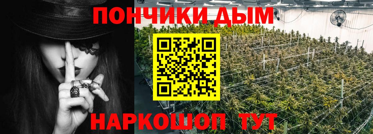 Каннабис конопля  Канабис Amnesia  Гусев  Вход с VPN 